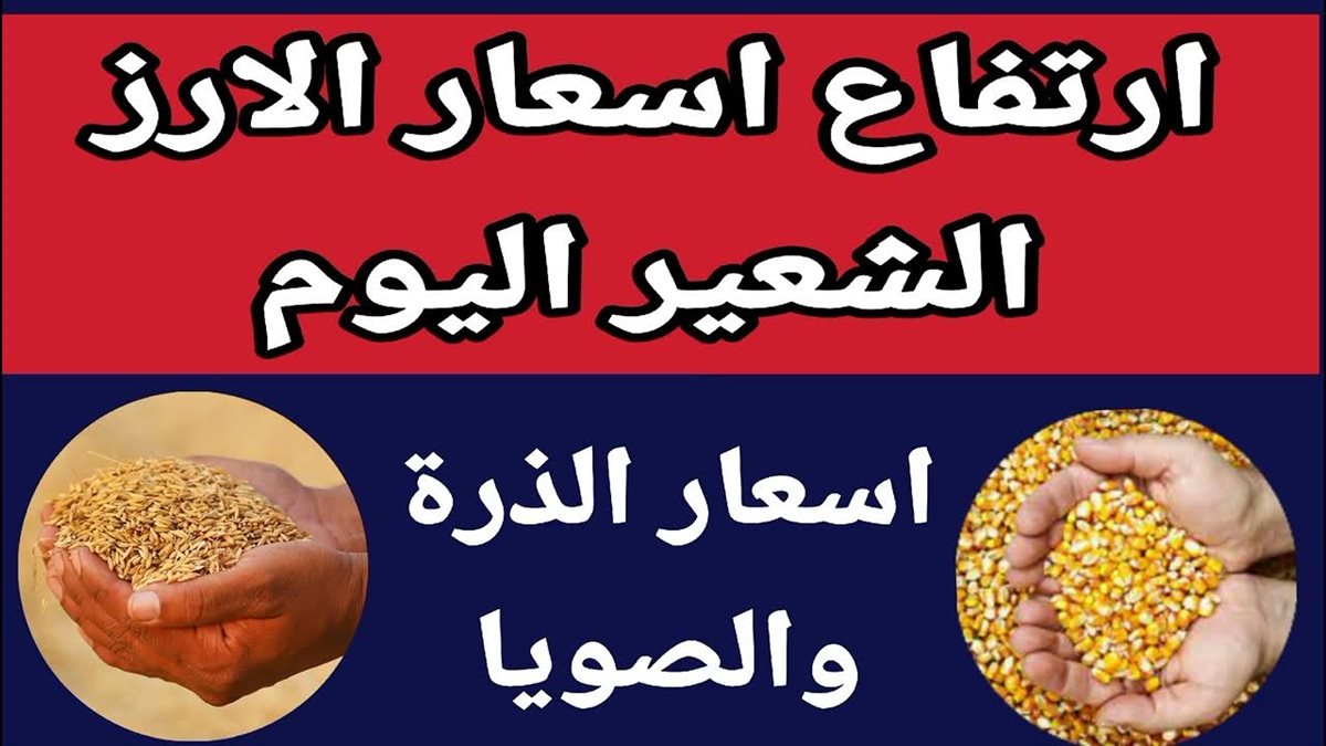 سعر الأرز الشعير اليوم