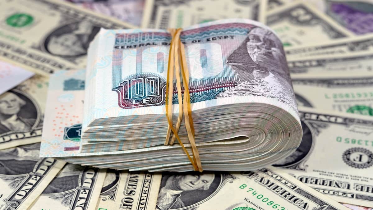 سعر الدولار مقابل الجنيه المصري