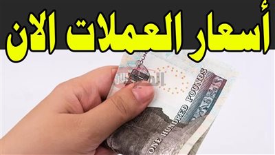 ارتفاع الدولار واليورو.. اسعار العملات اليوم في السوق السوداء مقابل الجنية المصري