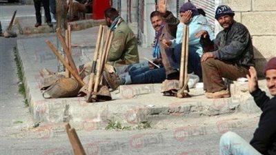 manpower.gov.eg رابط استعلام منحه العماله الغير منتظمه بالرقم القومي2025