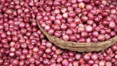 الابيض والاحمر.. سعر قنطار البصل اليوم الاحد 25/5/2025 بالاسواق المصرية وسوق العبور