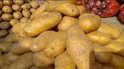 الكيلو يقترب من 15 جنيه.. أسعار البطاطس اليوم في سوق العبور للجملة