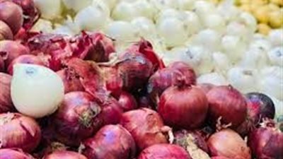 القنطار على كام.. سعر البصل الآن الثلاثاء 27/5/2025 بالاسواق وسوق العبور