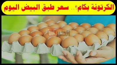 (احمر وبلدي وابيض) سعر كرتونة البيض اليوم في بورصة الدواجن والأسواق المصرية