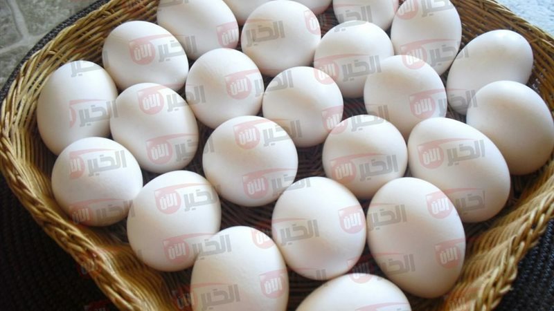 سعر كرتونة البيض
