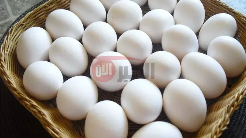 ما هو سعر كرتونة