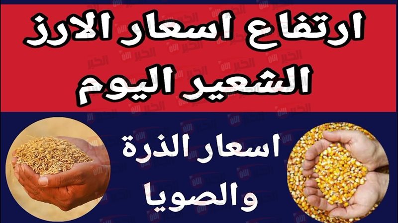 سعر الأرز الشعير