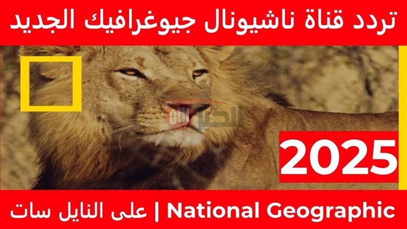 الخبر الآن