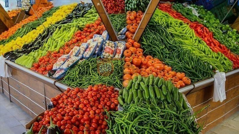اسعار الخضار اليوم