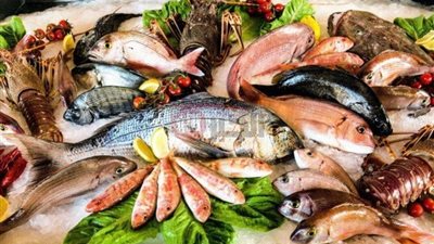 قائمة اسعار السمك اليوم الخميس 2025/5/29 والمأكولات البحرية بالاسواق