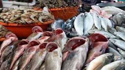 استقرار اسعار السمك اليوم السبت الموافق 31/5/2025 بجميع حلقات الاسماك والاسواق