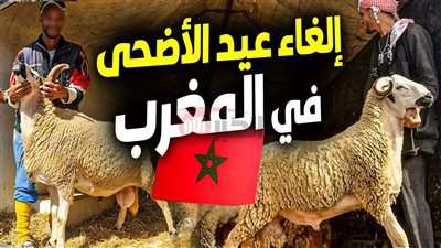 صفعة قوية لتقاليد العيد.. الغاء ذبح الاضحية في المغرب يزلزل الجماهير