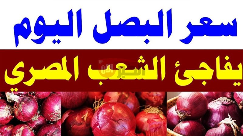 سعر البصل اليوم