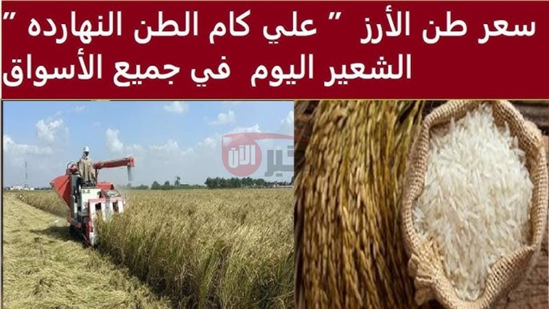 سعر الأرز الشعير