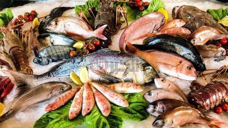 اسعار السمك اليوم