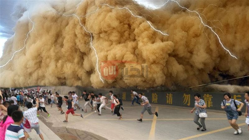 توقعات ليلى عبد اللطيف