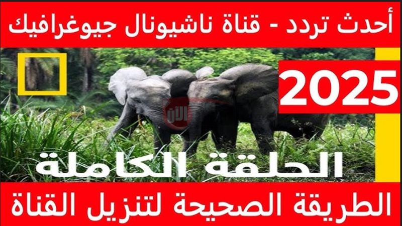 تردد قناة ناشيونال