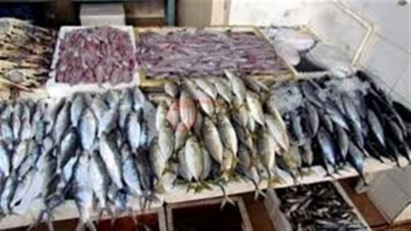 اسعار السمك اليوم