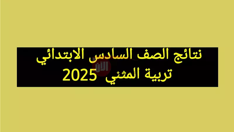 نتائج السادس الابتدائي
