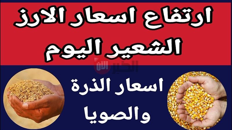 سعر طن الأرز الشعير