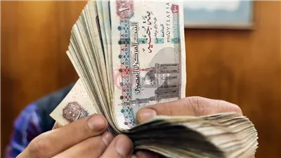 استعد للصرف.. موعد صرف تكافل وكرامه شهر يونيو 2025 يقترب