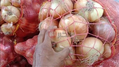 ارتفاع سعر البصل الان في سوق العبور.. الكيلو يصل لـ 8 جنيهات
