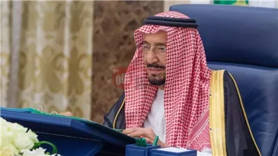 شروط العفو الملكي 1446هـ تصدر رسميًا وأبرز خطوات طلب العفو