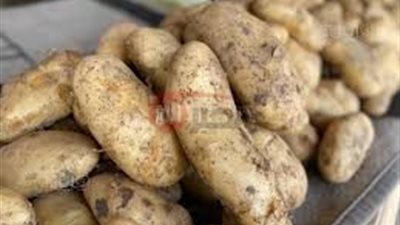استقرار أسعار البطاطس اليوم في سوق العبورالاثنين 2025/6/8 والاسواق المختلفه