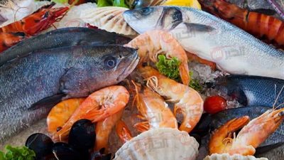 اسعار السمك اليوم الثلاثاء 10/6/2025 بسوق العبور.. البلطي بـ80  جنيه