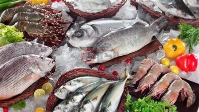 قائمة اسعار السمك اليوم الاربعاء 2025/6/11 بحلقات الاسماك والاسواق