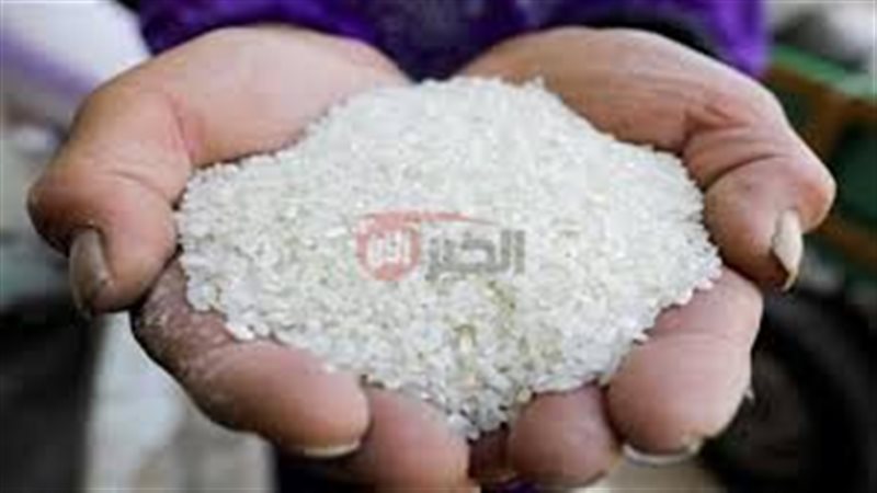 اسعار الارز الشعير
