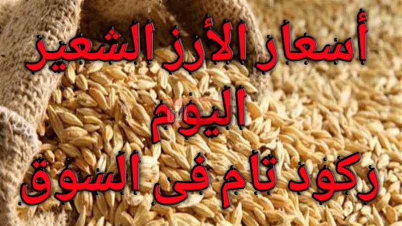 سعر الارز الشعير