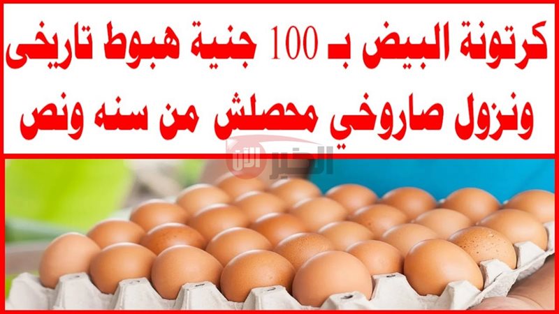 سعر كرتونة البيض