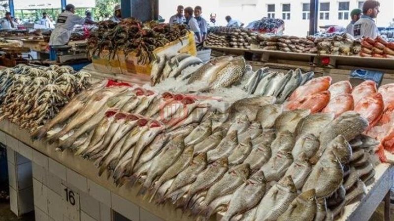 اسعار السمك اليوم