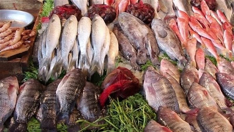 أسعار الأسماك اليوم