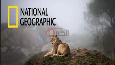 اضبط تردد قناة ناشيونال جيوغرافيك الجديد HD لمغامرة بصرية لا تُنسى
