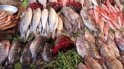 قائمة اسعار السمك اليوم الاثنين 2025/6/16 بحلقات الاسماك والاسواق