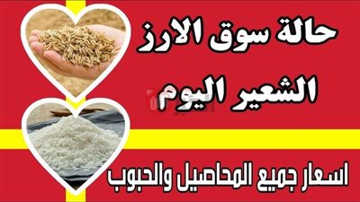 سعر الأرز الشعير اليوم في الأسواق والمضارب المصرية.. الطن وصل لكام؟