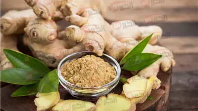 فوائد الجنزبيل الصحية.. 10 أسباب تجعله جزء أساسي من نظامك اليومي