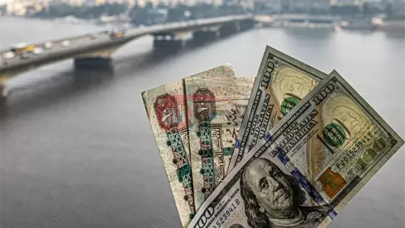 سعر الدولار اليوم