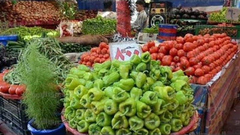 اسعار الخضروات اليوم