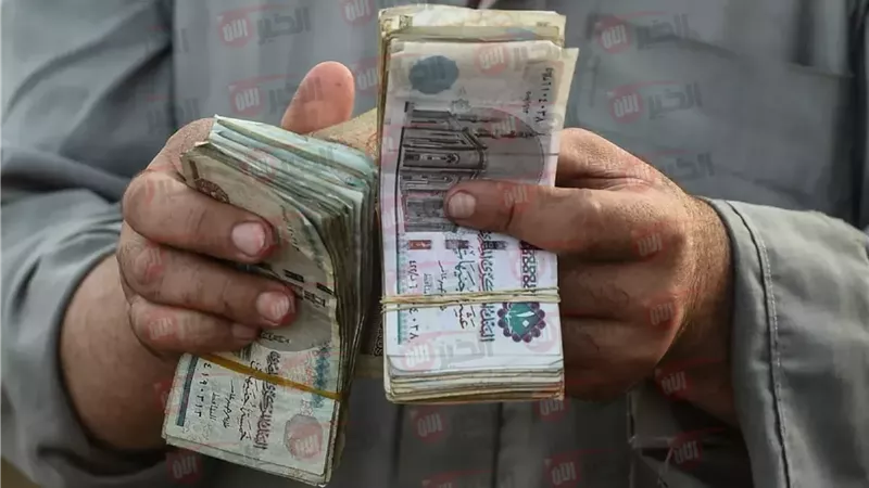 زيادة المعاشات