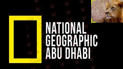 تردد قناة ناشيونال جيوغرافيك المفتوحة نايل سات لمتابعة أقوى البرامج الوثائقية مجانًا 