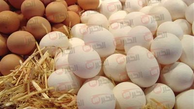 سعر البيض اليوم الخميس 19/6/2025 (أبيض- بلدي- أحمر) بالأسواق المصرية 