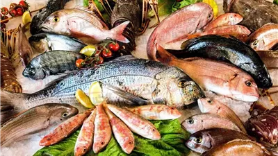 اسعار السمك اليوم الجمعة 20/6/2025 بسوق العبور للجملة.. انخفاض البلطي 8 جنيهات