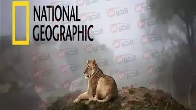 تابع الأفضل.. تردد قناة ناشيونال جيوغرافيك نايل سات 2025 بجودة عالية HD