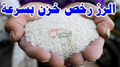تحديث.. سعر طن الأرز الشعير اليوم الاحد 22 يونيو 2025 للمستهلك المحلي