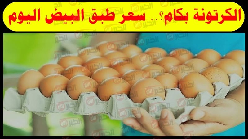 سعر البيض اليوم