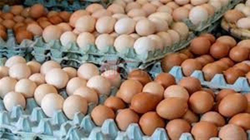سعر البيض الأحمر