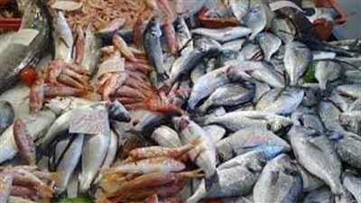 قائمة اسعار السمك اليوم الثلاثاء 1 يوليو 2025 بداخل سوق العبور والأسواق 